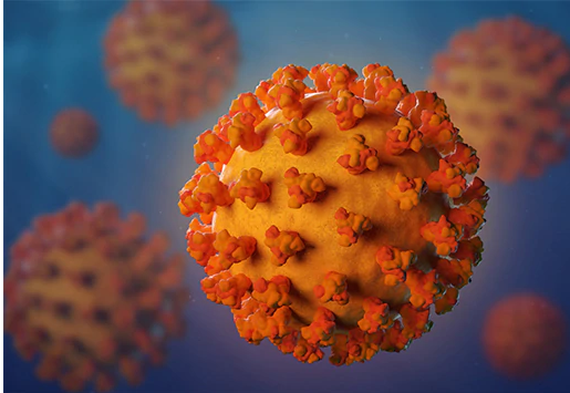 What is coronavirus and what should I do if I have symptoms?